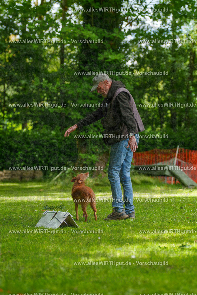 @allesWIRTHgut_Tierfotografie - www.allesWIRTHgut.de - 121537-7R508741 | Professionelle Tierfotografie in Mönchengladbach von Daniel Wirth (allesWIRTHgut). Liebevolle & natürliche Bilder von Hunden & Katzen für unvergessliche Erinnerungen.