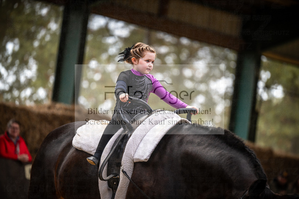 DOS_0153 | Entdecke hochwertige Reitturnierfotos von Foto Oger. Professionell, emotional und authentisch – jetzt Lieblingsmomente im Shop bestellen.Deutschlandweite Turnierfotografie. - Realisiert mit Pictrs.com