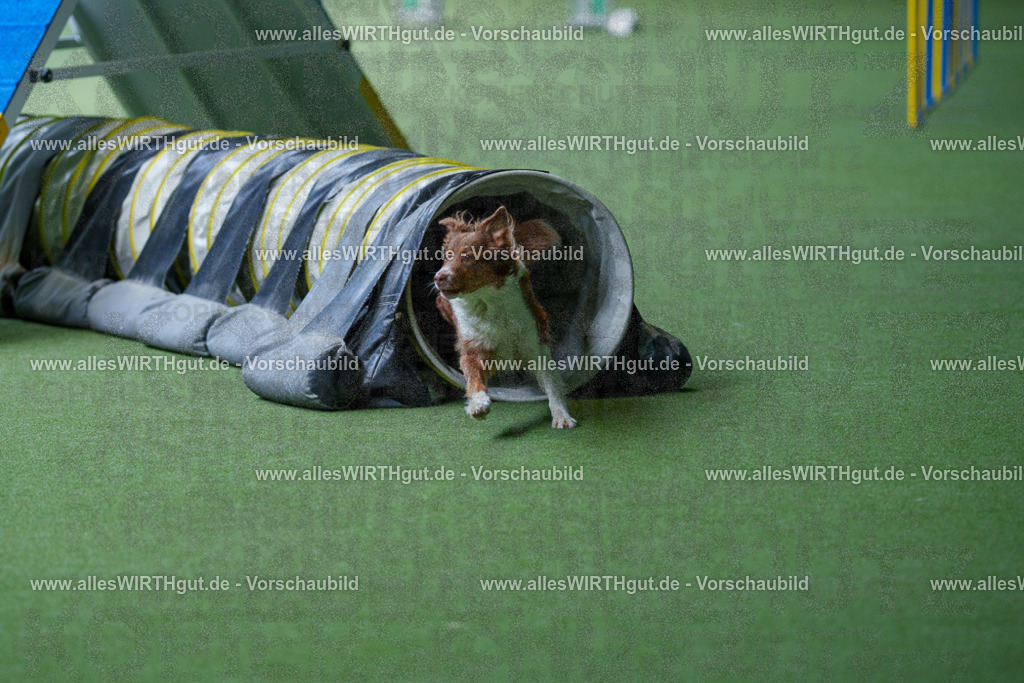 @allesWIRTHgut_Tierfotografie - www.allesWIRTHgut.de - 2604251226-7R501724 | Professionelle Tierfotografie in Mönchengladbach von Daniel Wirth (allesWIRTHgut). Liebevolle & natürliche Bilder von Hunden & Katzen für unvergessliche Erinnerungen.