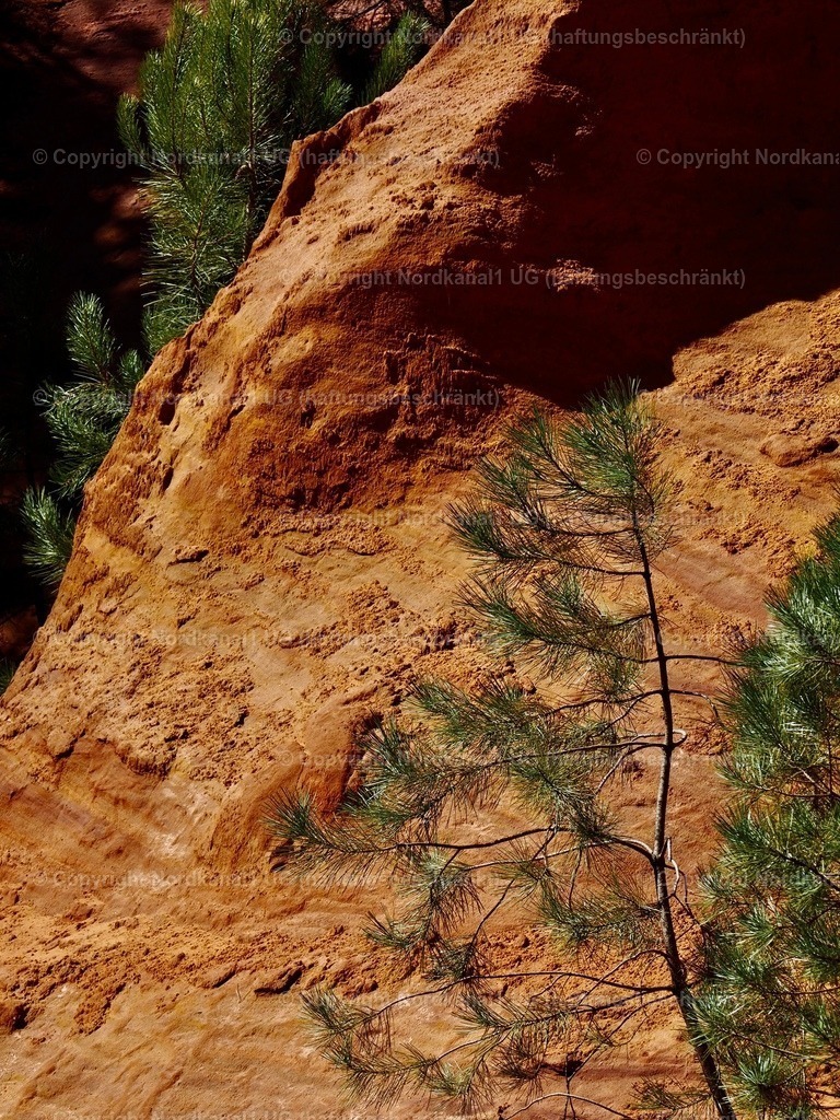 IMG_2936 | OLYMPUS DIGITAL CAMERA          - Realisiert mit Pictrs.com