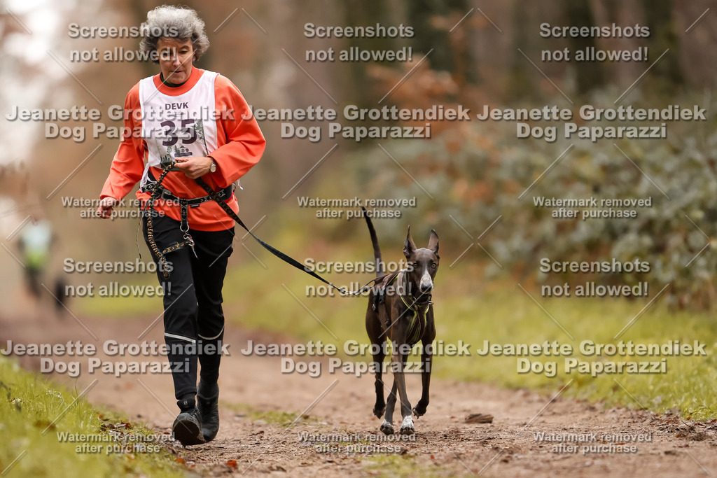 Dog Paparazzi - Speedhunter Mannheim  2025-91 | Dog Paparazzi Jeanette Grottendiek Fotografie & Videografie