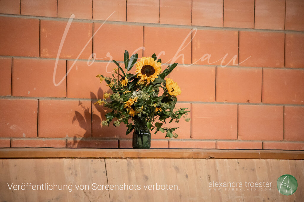 250913_Barop_11_059 | farbklaex.com
