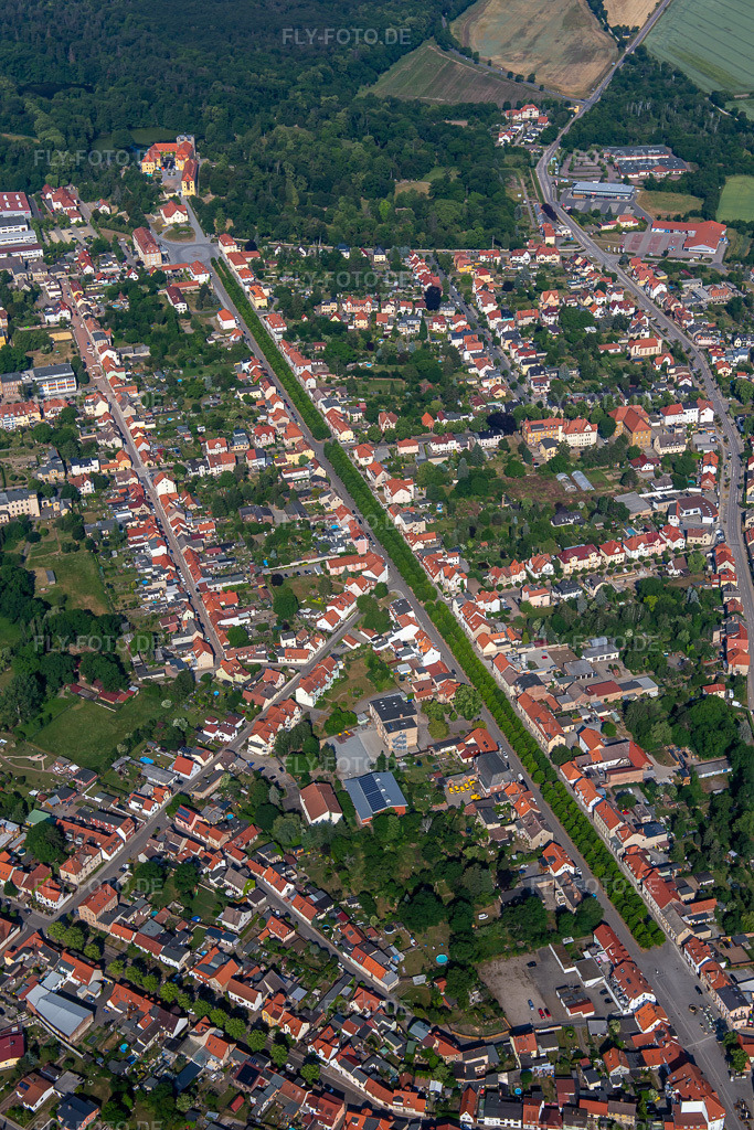 Luftbild: Allee zum Schloß in Ballenstedt im Bundesland Sachsen-Anhalt in Deutschland. Foto: IMG_136786.jpg vom 18.06.2023 durch Werner Riehm/FLY-FOTO.de