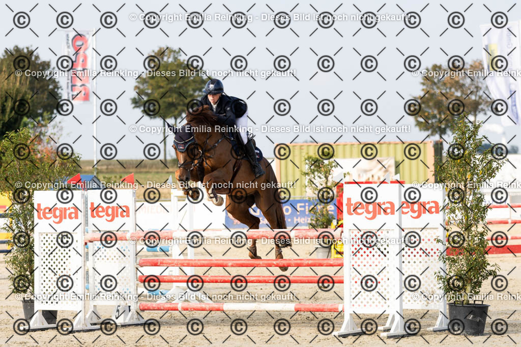 CL5A5218 | Emilia Reinking Fotografie - Realisiert mit Pictrs.com