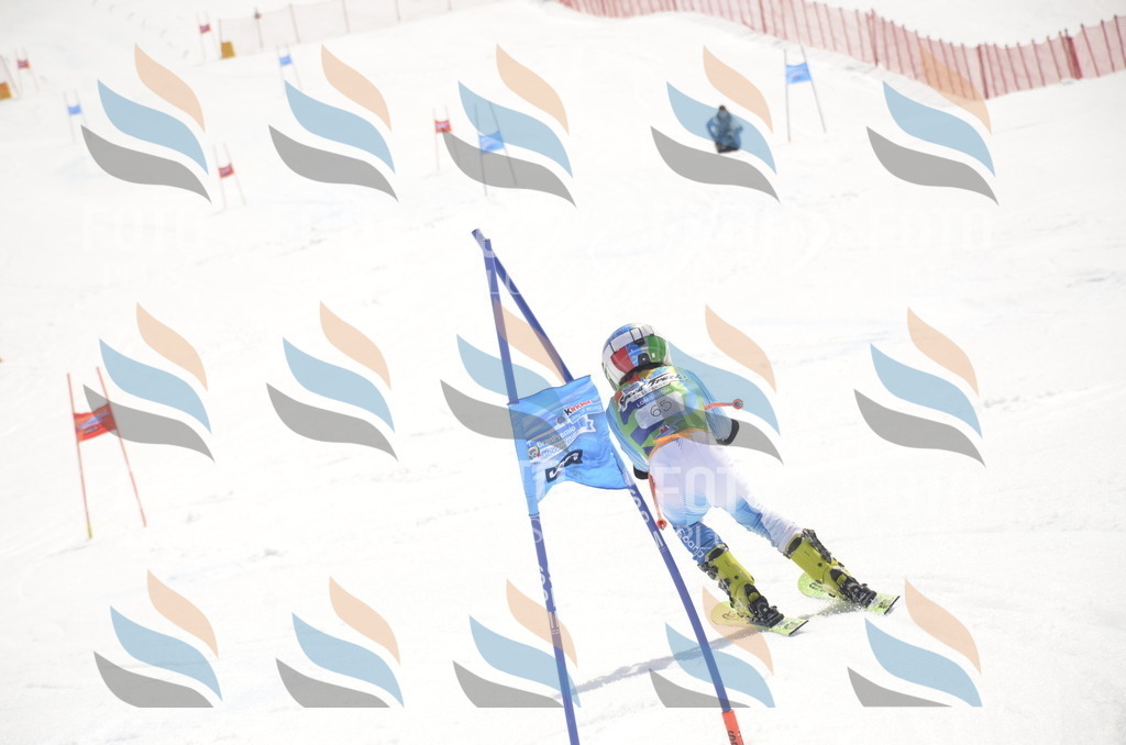 _ELE9076 | holidayphoto