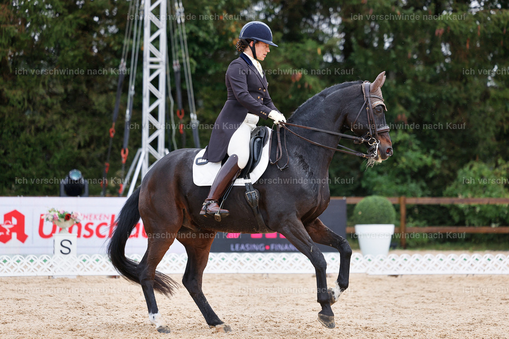 07-191-DRESSUR  S___  -StoibPH-4993 | working equitationturnier fotograf videograf stoibphotography marixx film working equitation deutschland reitsport turnierfotografie eventfotografie equestrian events