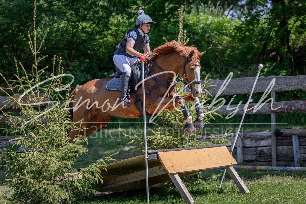 20260523-_3LI8056 | Tierfotografie Pferde, Hunde, Katzen, Haustiere.
Turnierfotografie Reitturniere, Reiten, Springreiten, Dressur in Hanau, dem Main-Kinzig-Kreis und dem Rhein-Main- Gebiet um Frankfurt