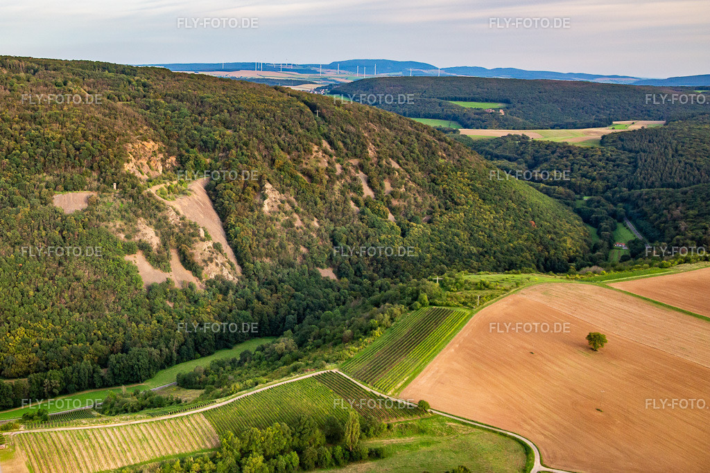 Rapunzelturm „Schlafender Riese“ auf dem Lemberg https://feilbingert.de | Luftbild: Rapunzelturm „Schlafender Riese“ auf dem Lemberg https://feilbingert.de im Ortsteil Bingert in Feilbingert im Bundesland Rheinland-Pfalz in Deutschland. Foto: IMG_138400.jpg vom 03.09.2023 durch ©2025 Werner Riehm fly-foto.de/copyright - Realisiert mit Pictrs.com