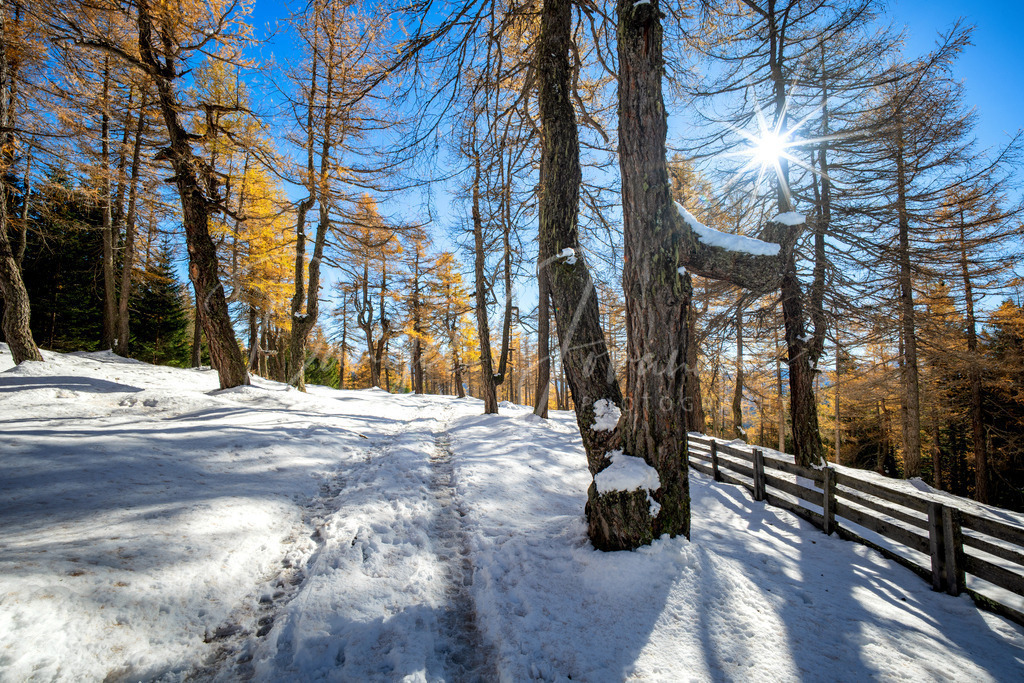 Eulenwiesen | Herbst bei den Eulenwiesen