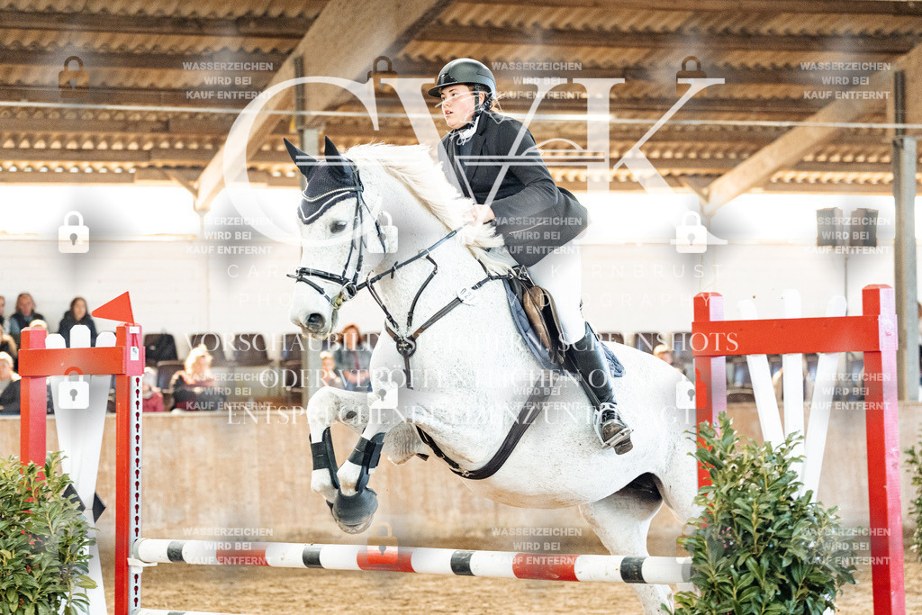 CK904481 | Turnierfotografie Pferdefotografie Trier Rheinland-Pfalz Pferdesport Reitsport Tierfotografie Sportfotografie Pferdevideo Pferdevideografie Equestrianvideography equestrianphotography  - Realized with Pictrs.com