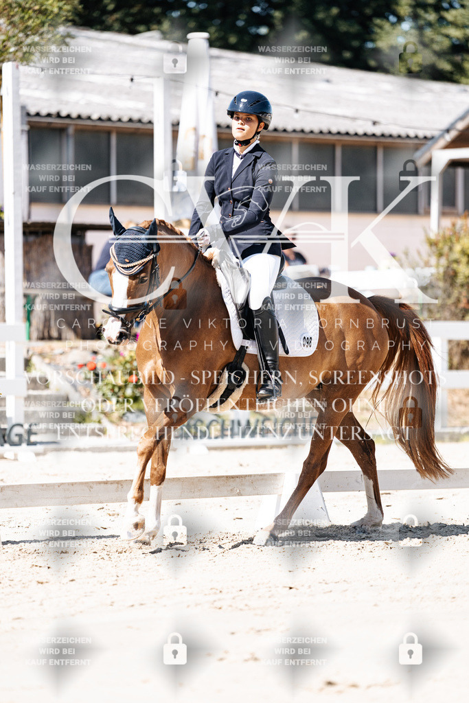 CK909198 | Turnierfotografie Pferdefotografie Trier Rheinland-Pfalz Pferdesport Reitsport Tierfotografie Sportfotografie Pferdevideo Pferdevideografie Equestrianvideography equestrianphotography  - Realisiert mit Pictrs.com
