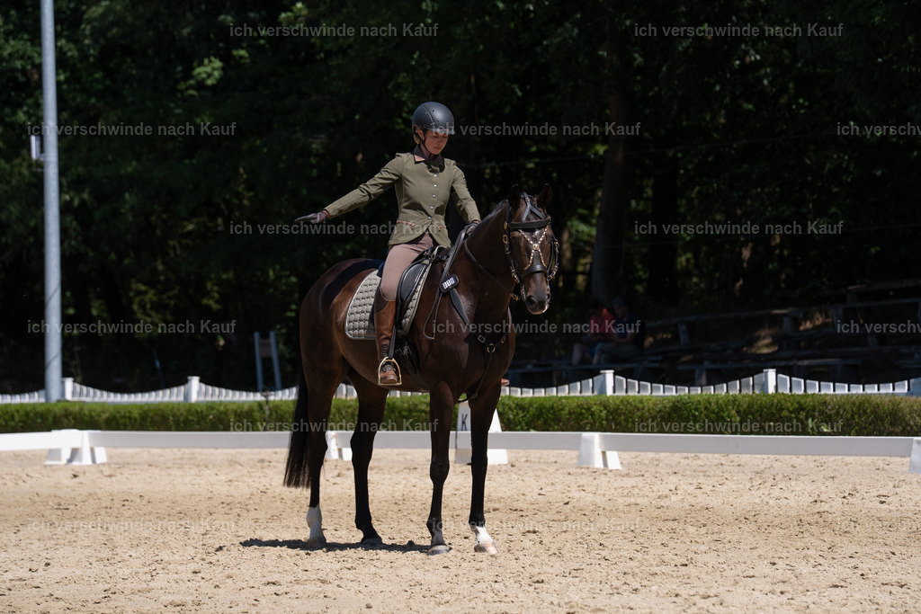 WS_DR_19_sinafilmart_IN03092 | working equitationturnier fotograf videograf stoibphotography marixx film working equitation deutschland reitsport turnierfotografie eventfotografie equestrian events