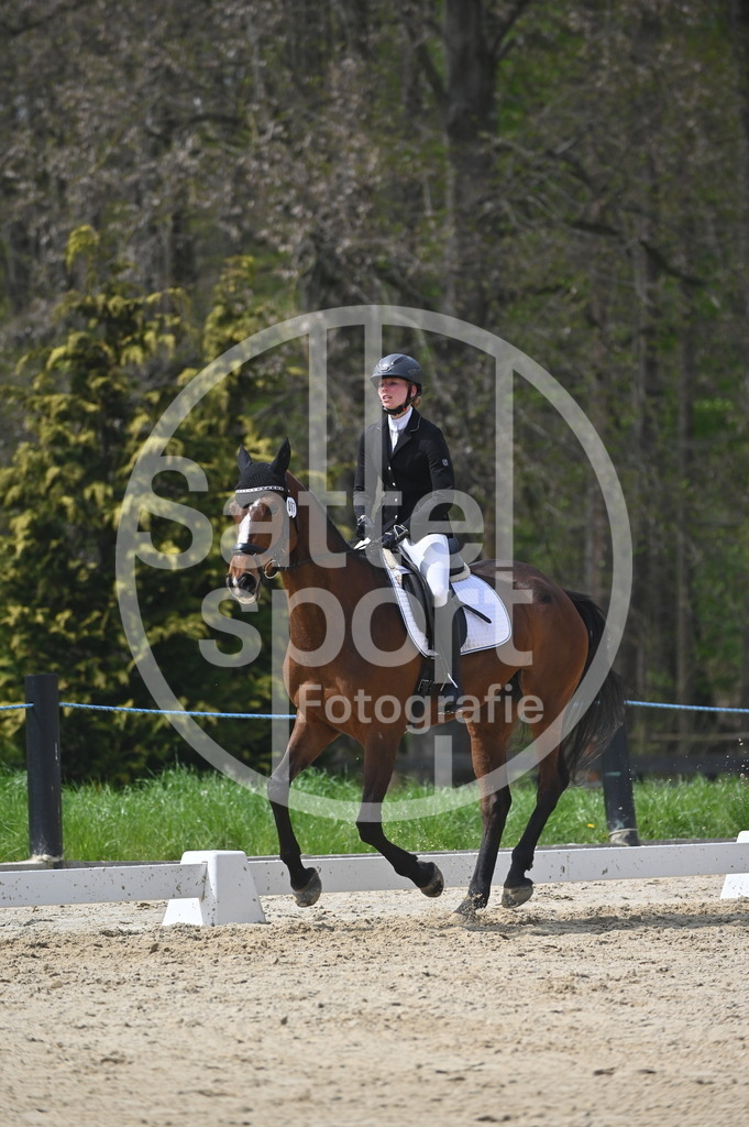 DSC_3216 | sattelsport - Realisiert mit Pictrs.com