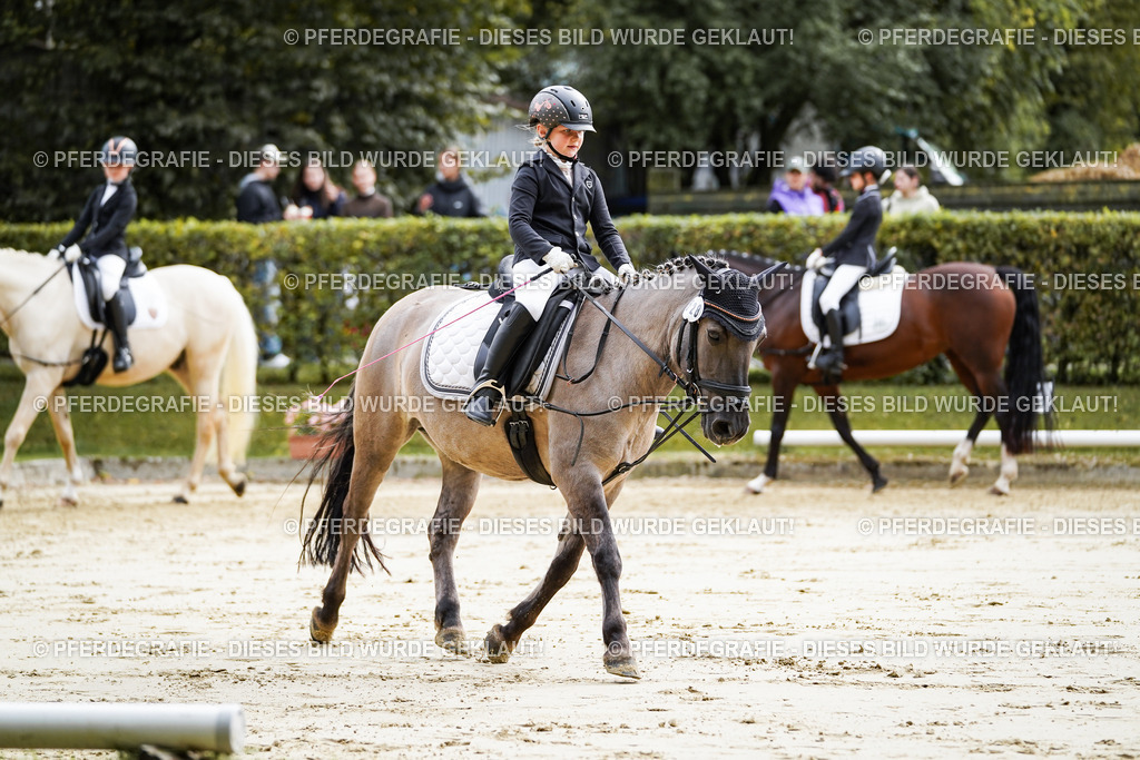 DSC05503 | Pferdegrafie