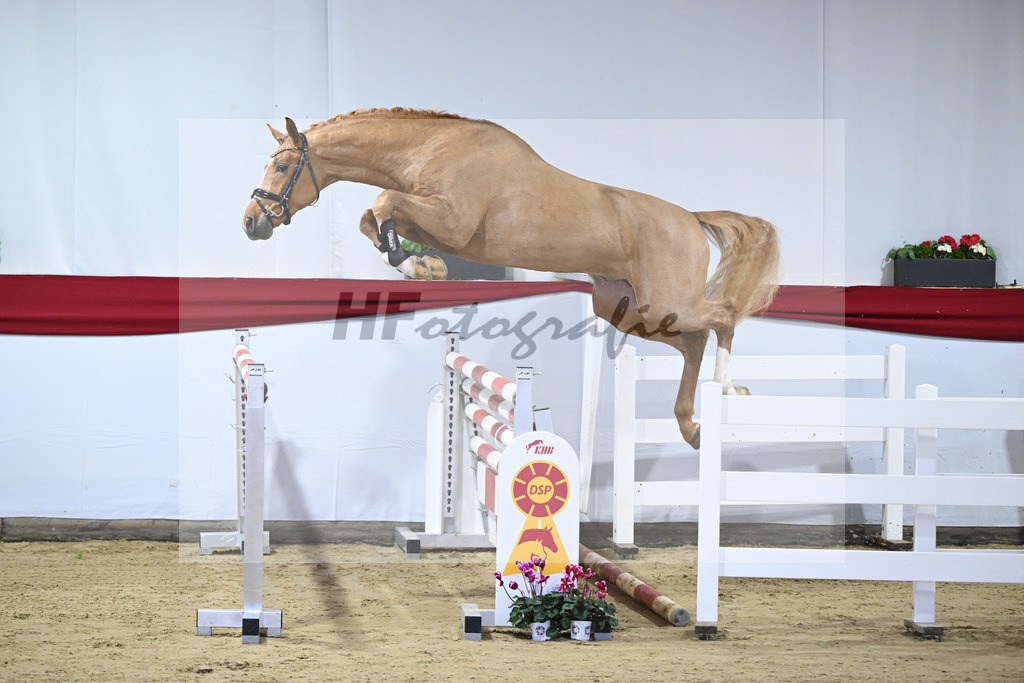 Kat-Nr. 35 v. Zinedream_Schulze-Averdiek_63220799 | hf-fotografie - Realizzato con Pictrs.com