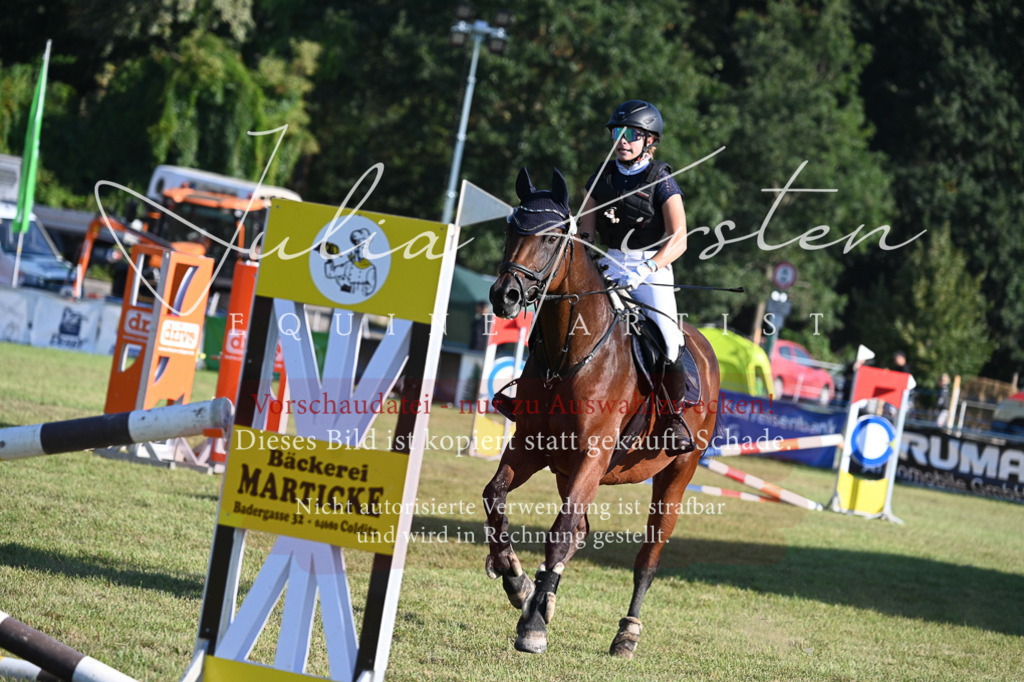 DSC_4851 | Pferde- und Turnierfotografie in Westsachsen. Pferdeportraits, Auftragszeichnungen und intuitive Kunst.