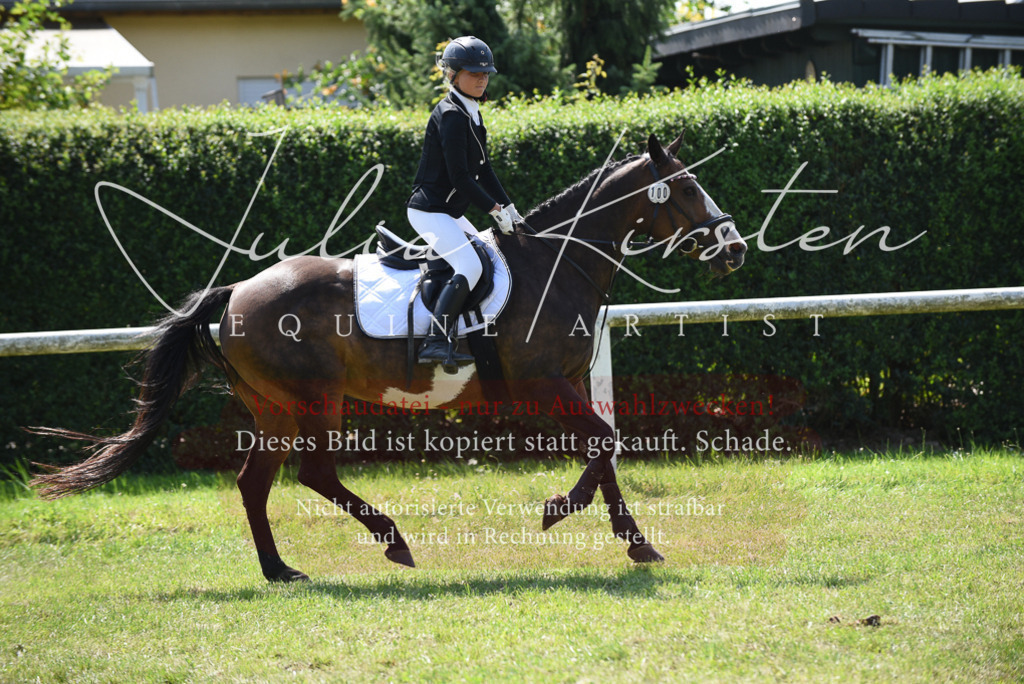 DSC_0059 | Pferde- und Turnierfotografie in Westsachsen. Pferdeportraits, Auftragszeichnungen und intuitive Kunst.