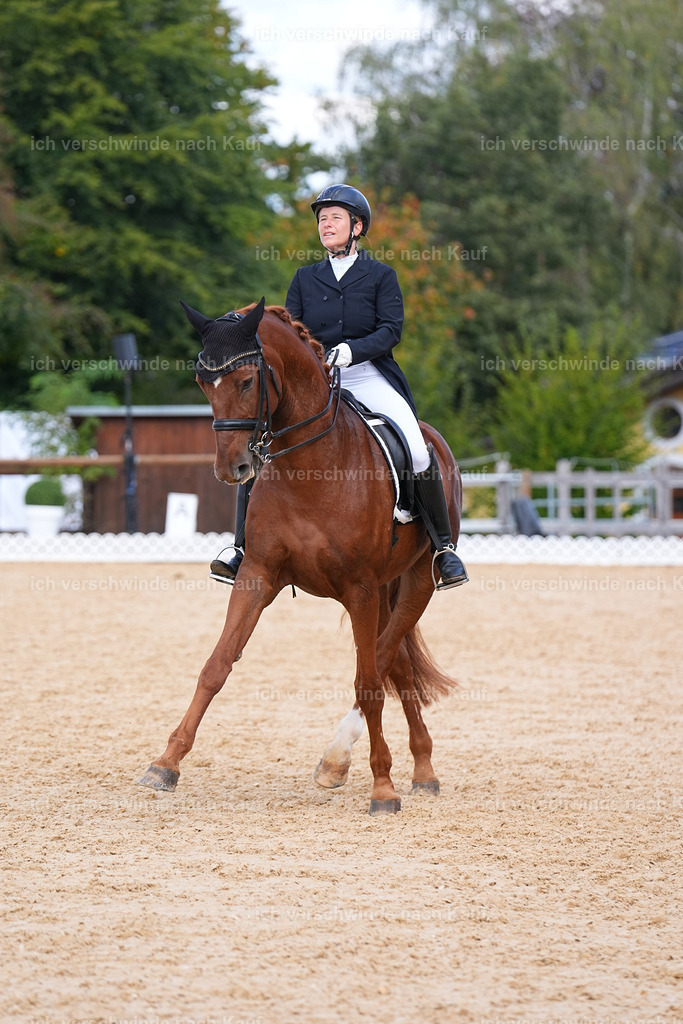 09_2-090-DRESSUR  S_  -Marixx-5965 | working equitationturnier fotograf videograf stoibphotography marixx film working equitation deutschland reitsport turnierfotografie eventfotografie equestrian events