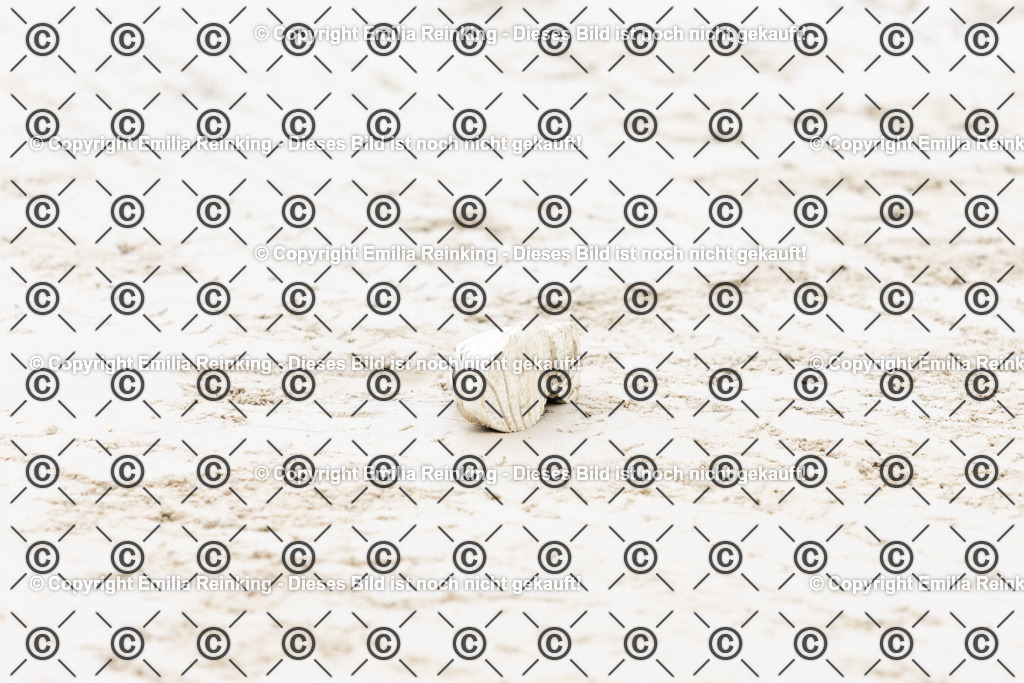 CL5A0607 | Emilia Reinking Fotografie - Realisiert mit Pictrs.com