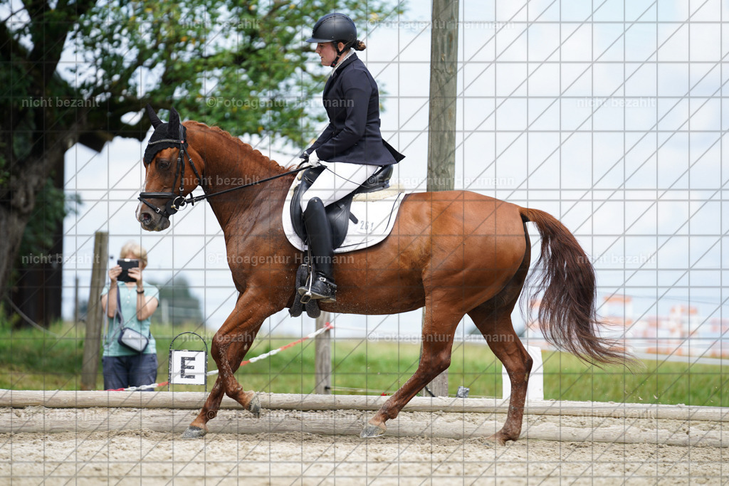 20230826-FAH05611 | Forstinning, 2023, Dressurturnier, Turniersportbilder, Turnierfotografen Bayern, Fotoagentur Herrmann, Reitsportfotografie, Turnierbilder