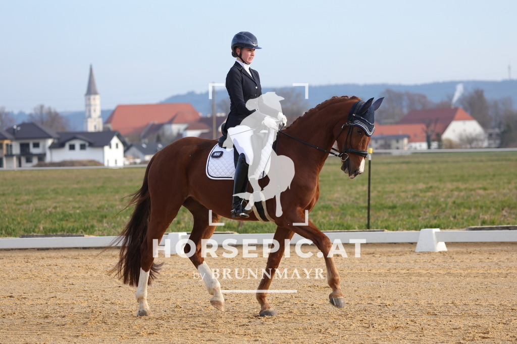 0P6A5923 | Willkommen bei Brunnmayr - Design & Fotografie – Ihrem Spezialisten für Reitturniere und Pferdeveranstaltungen in Oberösterreich, Salzburg und Bayern! Seit über 17 Jahren sind wir leidenschaftlich dabei.