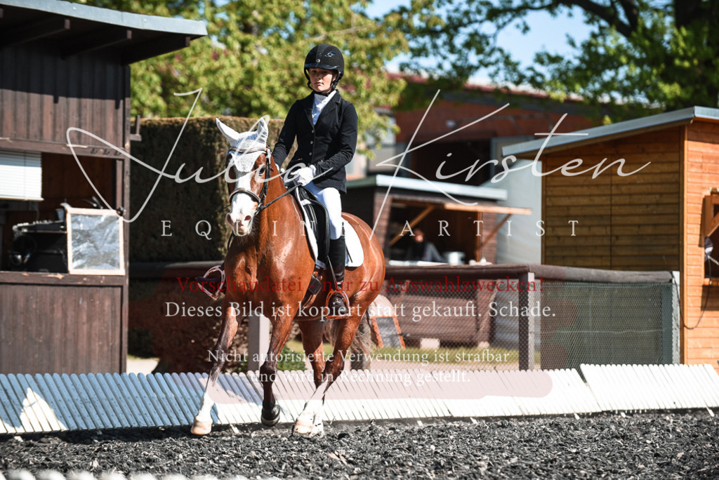 DSC_8712 | Pferde- und Turnierfotografie in Westsachsen. Pferdeportraits, Auftragszeichnungen und intuitive Kunst.