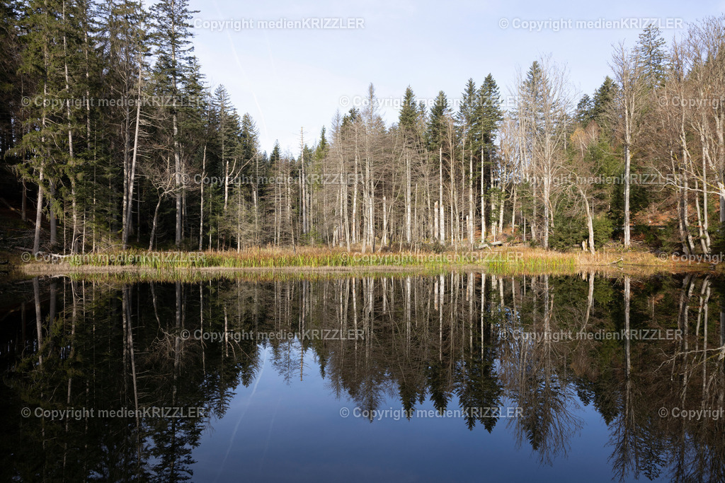 _J3A9116 | medienkrizzler - Realisiert mit Pictrs.com