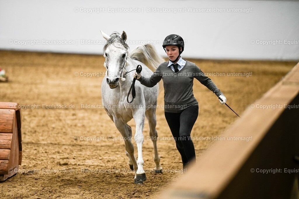 20260307_Hengstvorstellung-Marbach_0408 | equistock