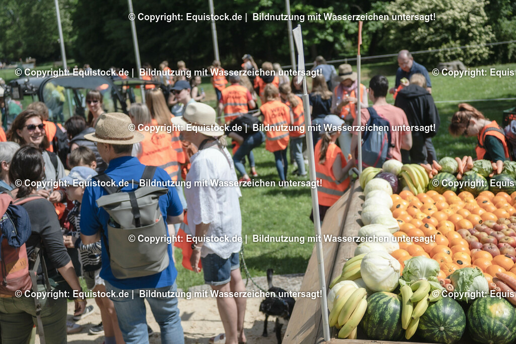 ZFC_3983 | equistock