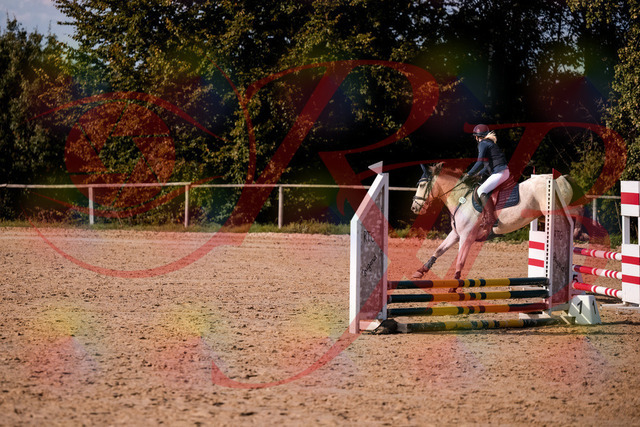 2026_10_03_Siefer-Hof_154533_Z81_64270493 | Professionelle Reitsport-, Turnier- und Eventfotografie von Robert Broda. Galerien mit ausgewählten und bearbeiteten Bildern direkt online ansehen und bestellen.