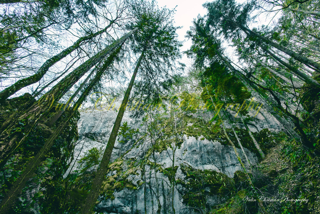 JBK 17 | Christian Vulin  - Realisiert mit Pictrs.com