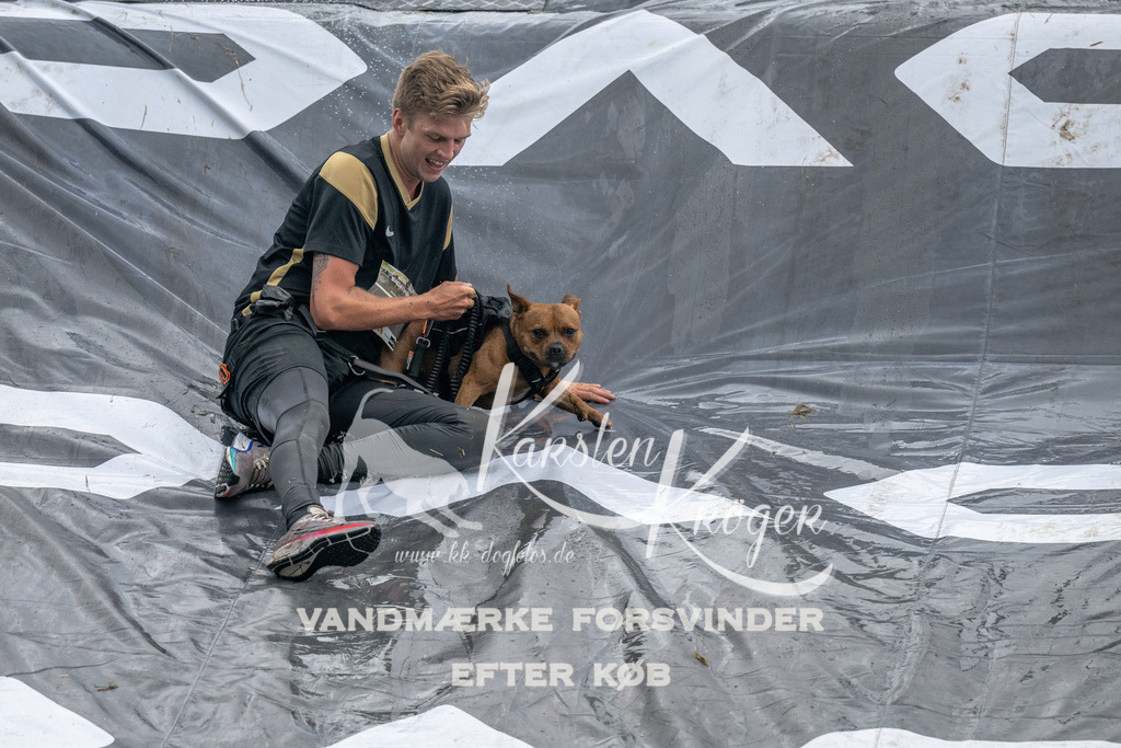 1400_ZZ93682 | kk-dogfotos