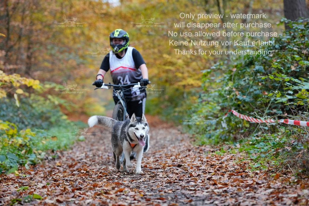 Scooter_So_110-3 | stephaniefillaphotographie - Realisiert mit Pictrs.com