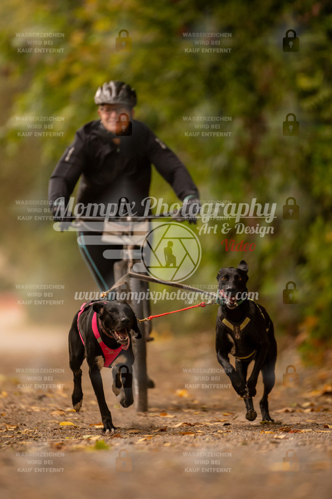 CDLBDB_14_10_2023_Samedi-39 | PayLife
