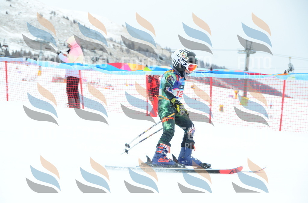 DSC_1308 | holidayphoto