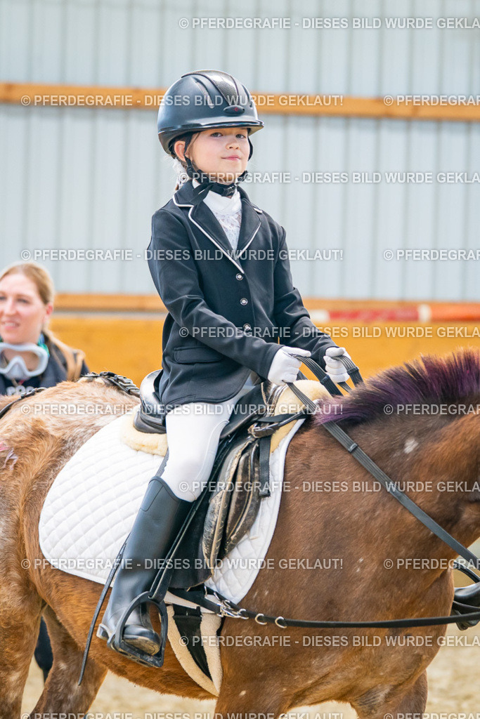 DSC00484 | Pferdegrafie