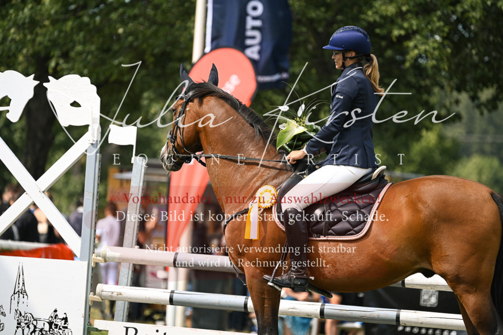 DSC_0688 | Pferde- und Turnierfotografie in Westsachsen. Pferdeportraits, Auftragszeichnungen und intuitive Kunst.