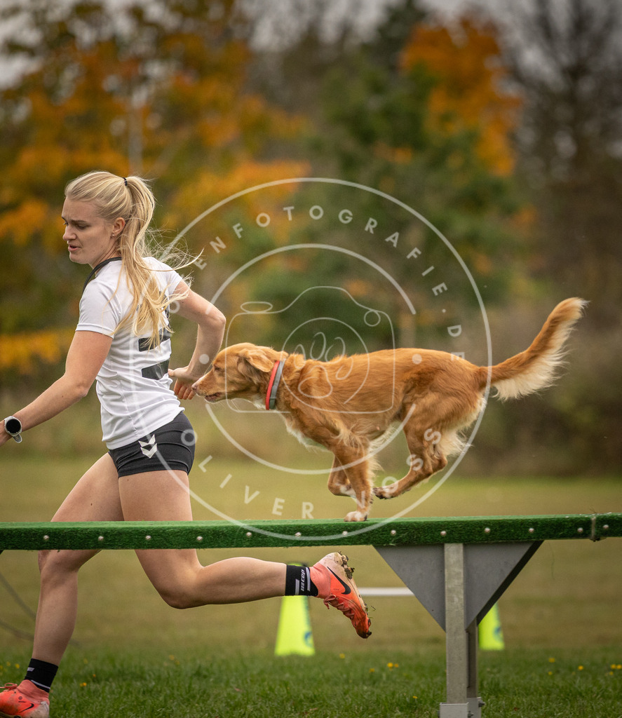 Pfotenfotografie_DV3A7419 | Hundefotografie, Tierfotograf, Pfotenfotografie, Fotoshooting Hund, Hunde Portrait, Hundesport, Hundeportraits, Heideshooting, Hunde, Sportfotograf, Hundefotograf, Turnierhundsport, THS,  - Realisiert mit Pictrs.com