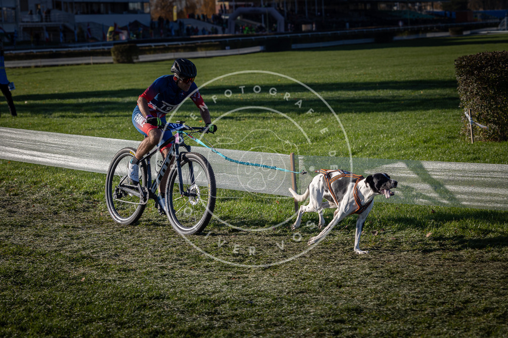 CaniXpix_0L8A4236 | Hundefotografie, Tierfotograf, Pfotenfotografie, Fotoshooting Hund, Hunde Portrait, Hundesport, Hundeportraits, Heideshooting, Hunde, Sportfotograf, Hundefotograf, Turnierhundsport, THS,  - Realisiert mit Pictrs.com