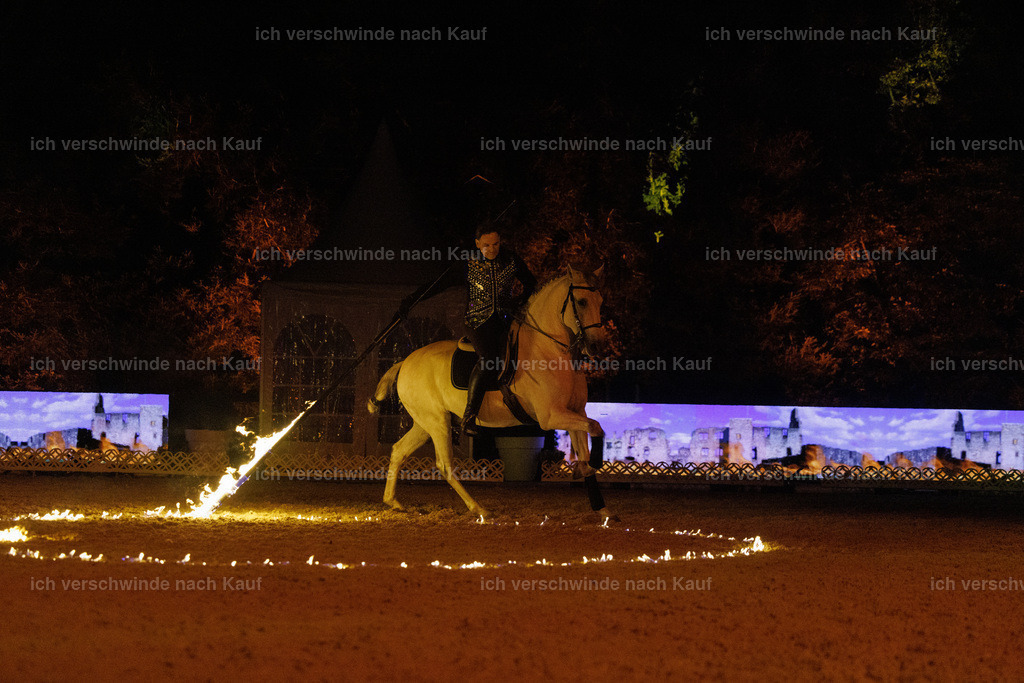 FHClassics-380 | working equitationturnier fotograf videograf stoibphotography marixx film working equitation deutschland reitsport turnierfotografie eventfotografie equestrian events