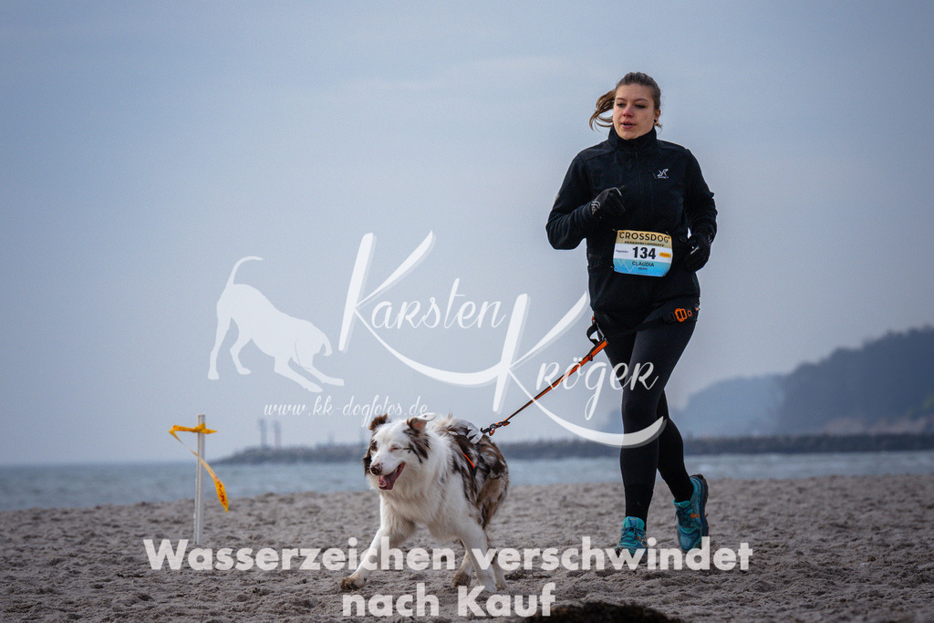 1040_ZZ96045 | kk-dogfotos