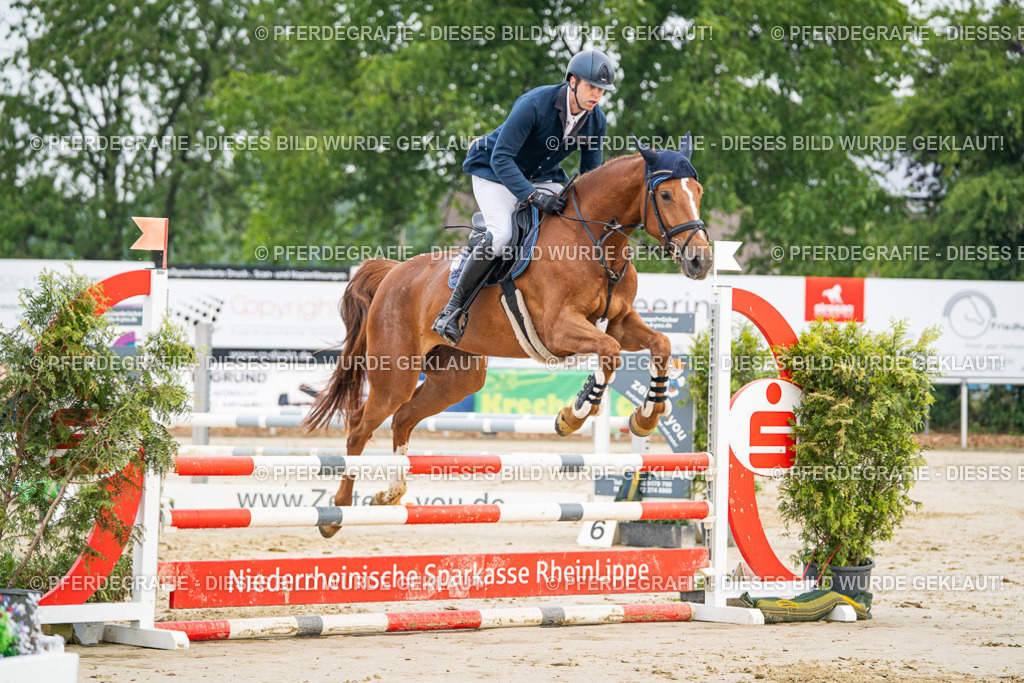 DSC08499 | Pferdegrafie