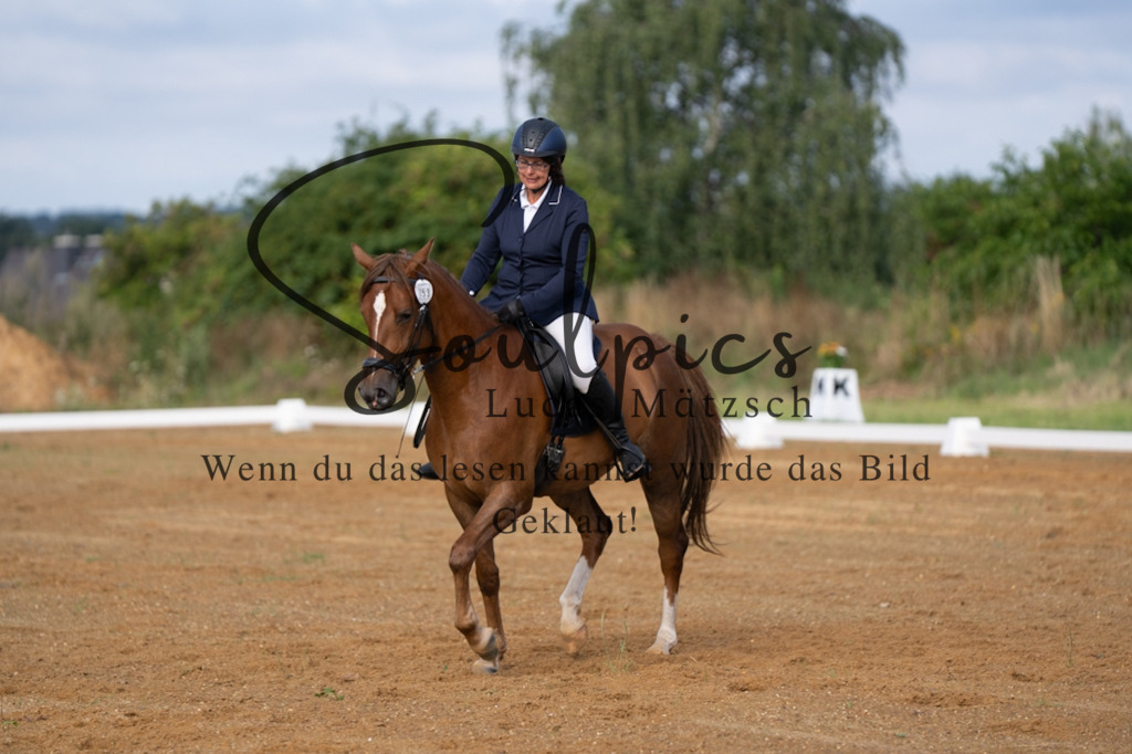 A7V03741 | Pferdefotograf