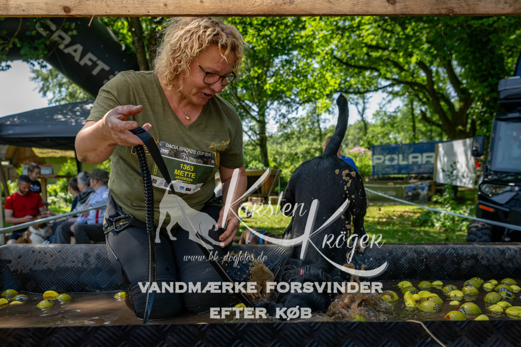 1313_ZZ90793 | kk-dogfotos