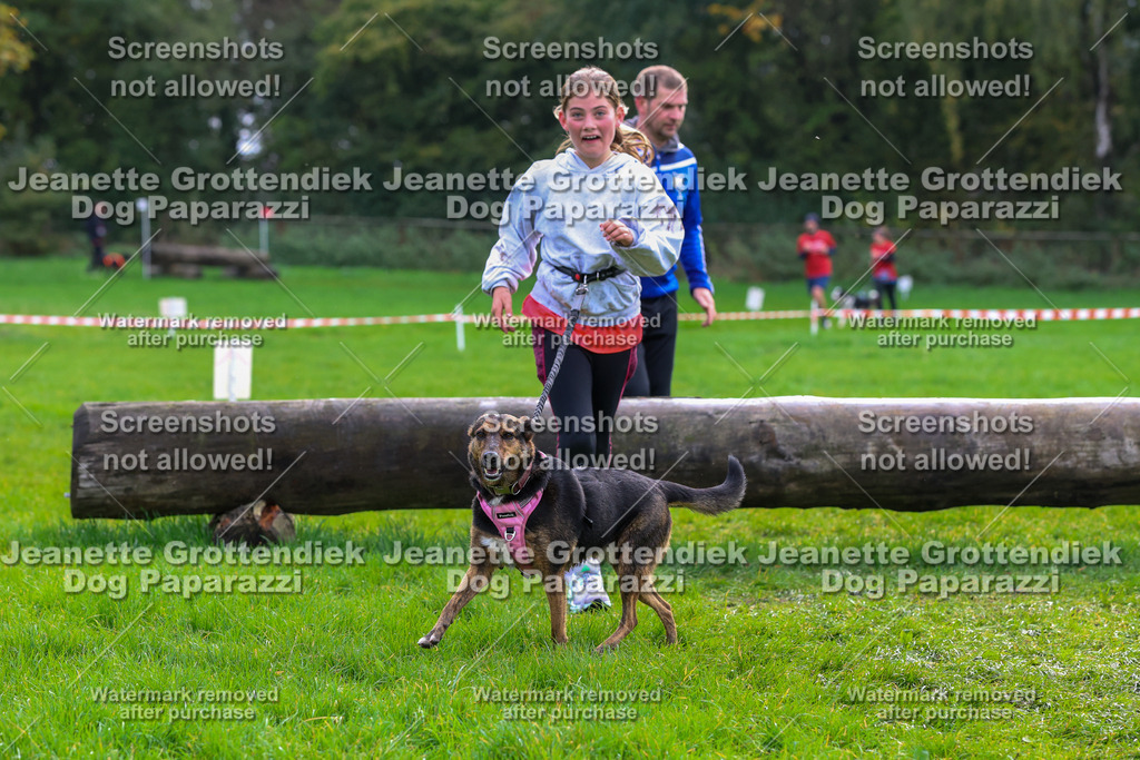 Dog Paparazzi -  SD1026-2166 | Dog Paparazzi Jeanette Grottendiek Fotografie & Videografie - Realisiert mit Pictrs.com
