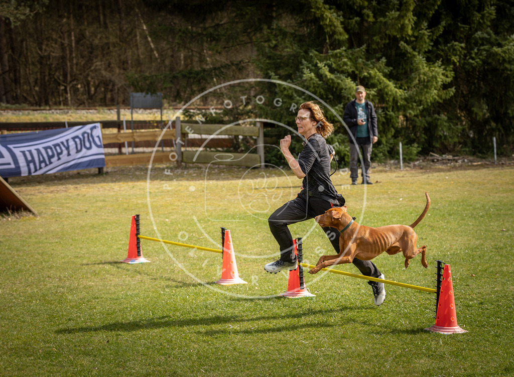 Pfotenfotografie_DV3A9203 | Hundefotografie, Tierfotograf, Pfotenfotografie, Fotoshooting Hund, Hunde Portrait, Hundesport, Hundeportraits, Heideshooting, Hunde, Sportfotograf, Hundefotograf, Turnierhundsport, THS,  - Realisiert mit Pictrs.com
