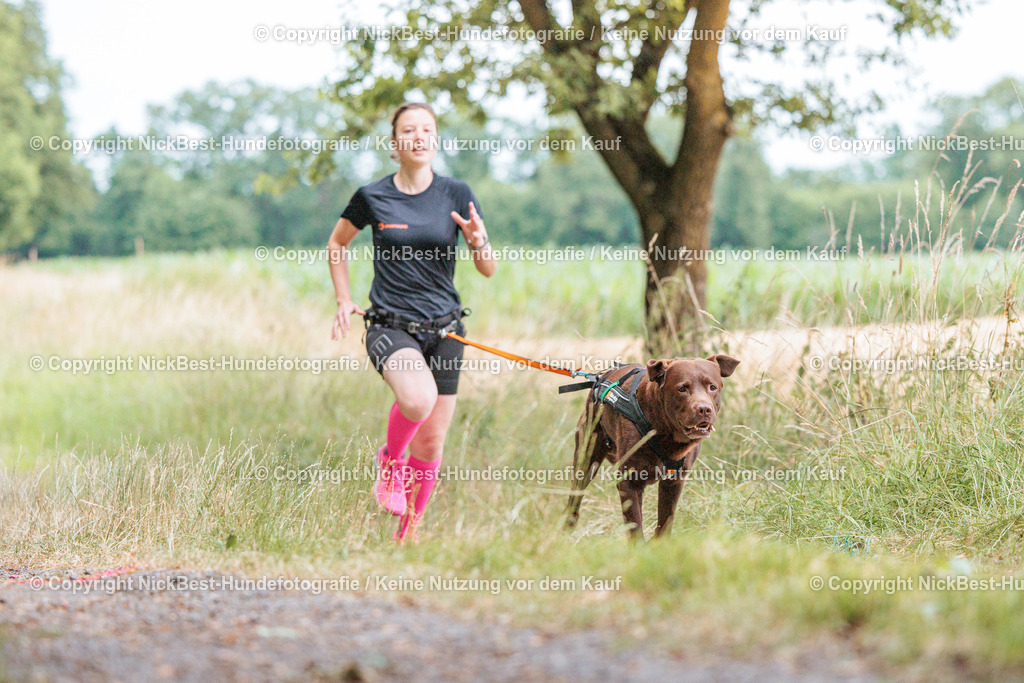 THS-Quakenbrück-2026-Nickbest-Hundefotografie-0521 | Dein Hund! Dein Moment! Deine Erinnerungen! Hundefotografie in Bremen Blumenthal. Ich fange die besonderen Momente deines Vierbeiners ein – ob Indoor mit Blitzanlage oder in der freien Natur. Sicher dir dein Moment und dein Termin für eure Erinnerungen.