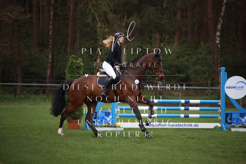 IMGT2342 | pl-fotografie