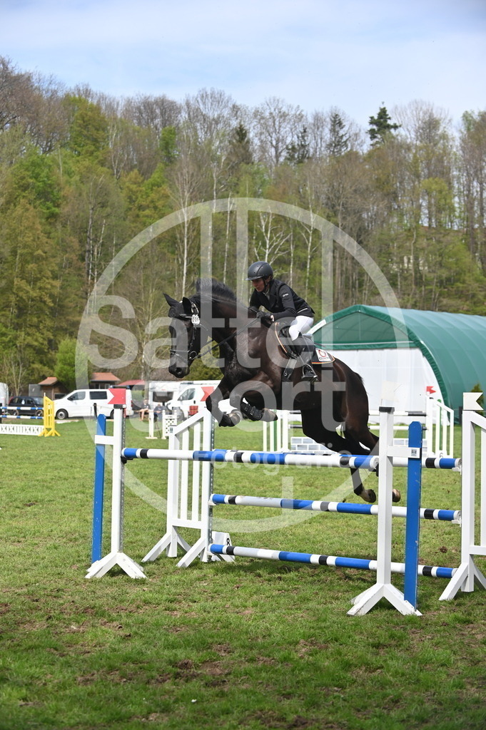 DSC_3972 | sattelsport - Realisiert mit Pictrs.com