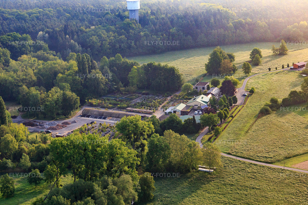 Luftbild: Bienwald Baumschule / Greentec in Berg im Bundesland Rheinland-Pfalz in Deutschland. Foto: IMG_113997.jpg vom 23.05.2019 durch Werner Riehm/FLY-FOTO.de